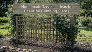 Homemade Trellis Ideas for Beautiful Climbing Plants